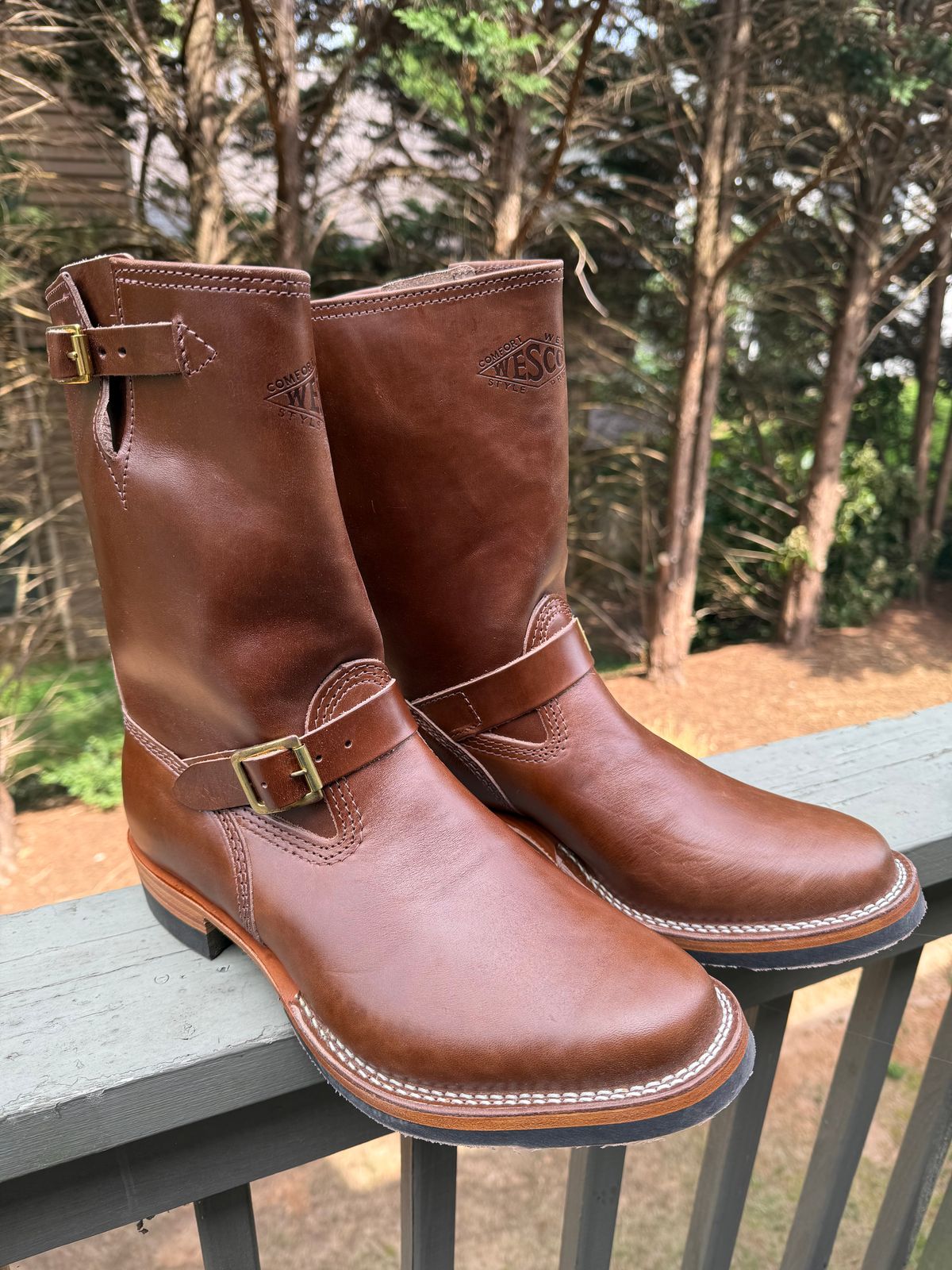 Photo by BigDawg308 on July 21, 2025 of the Wesco Mister Lou in Maryam Toscanello TPR Horsebutt.