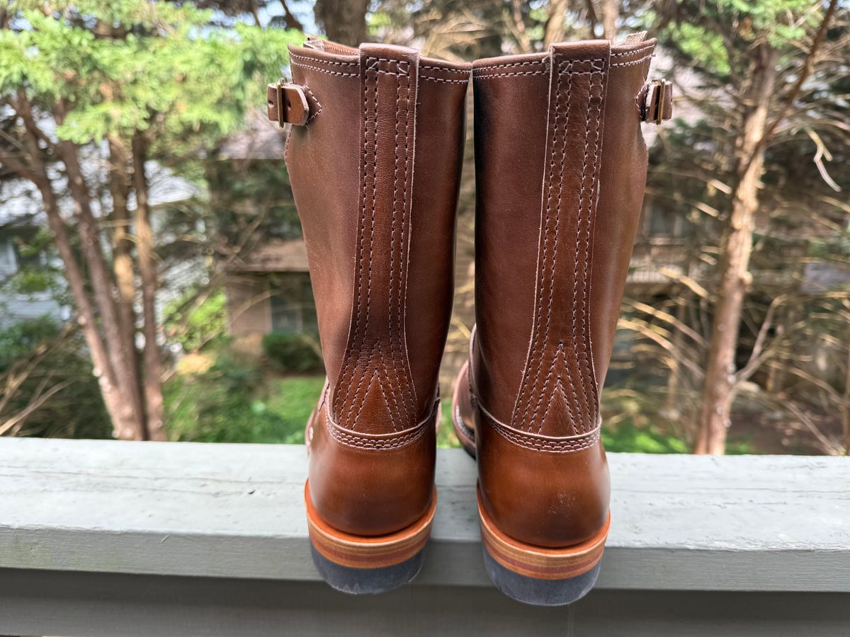 Photo by BigDawg308 on July 21, 2025 of the Wesco Mister Lou in Maryam Toscanello TPR Horsebutt.