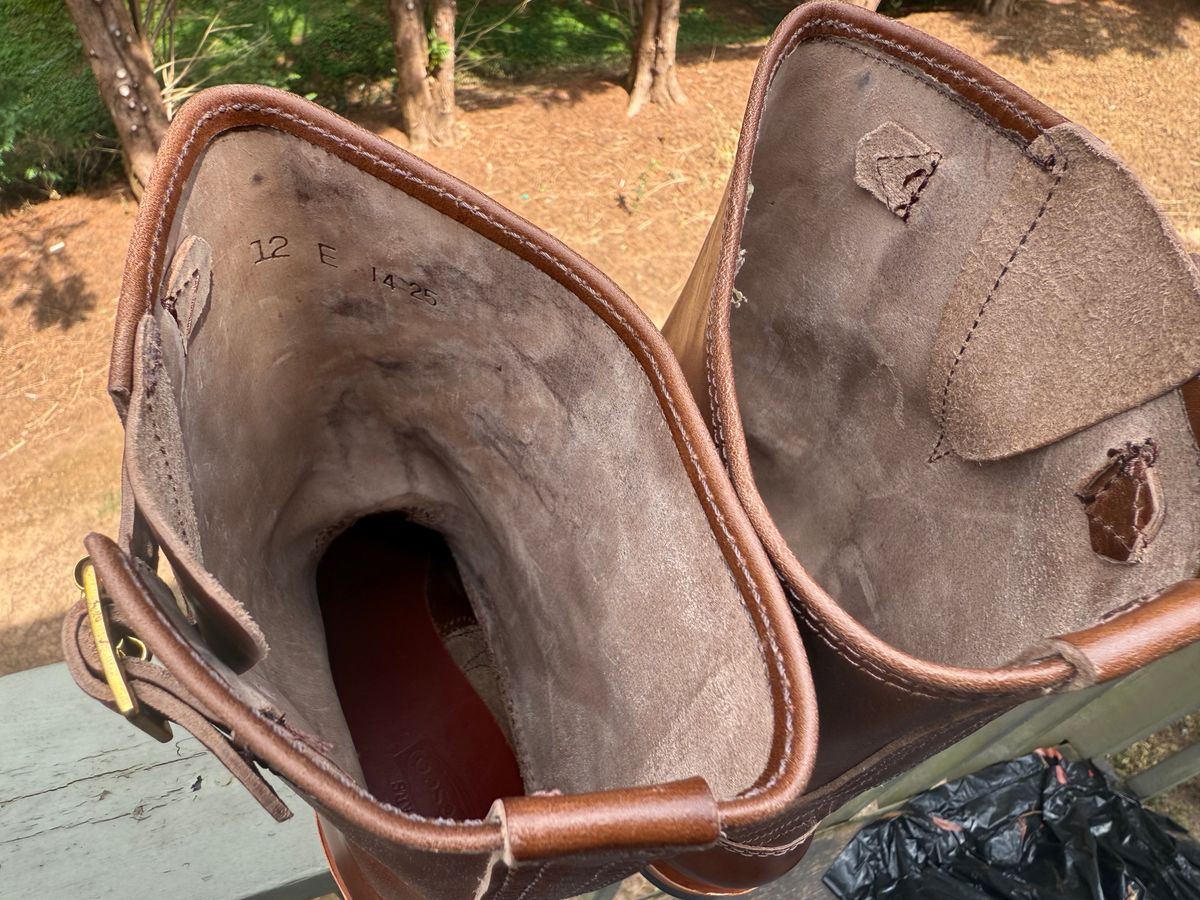 Photo by BigDawg308 on July 21, 2025 of the Wesco Mister Lou in Maryam Toscanello TPR Horsebutt.