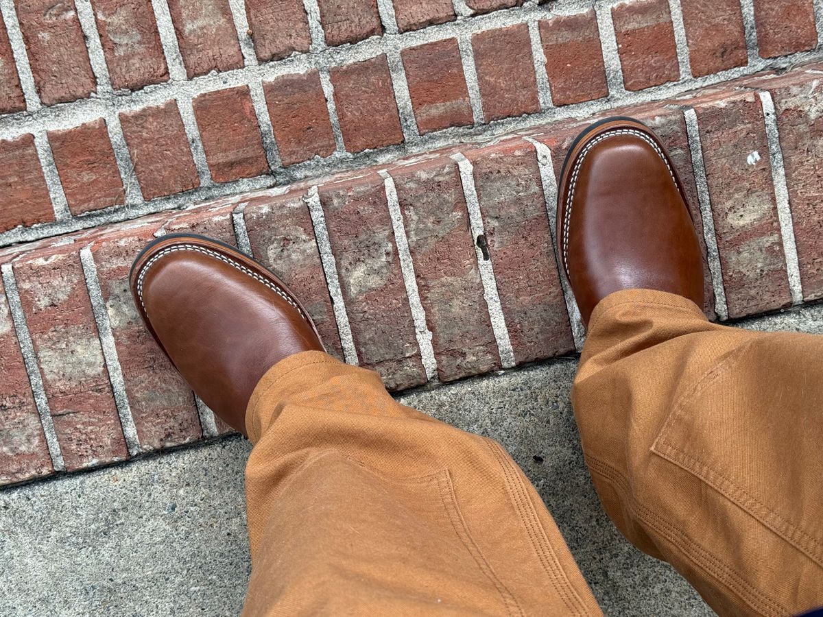 Photo by BigDawg308 on July 21, 2025 of the Wesco Mister Lou in Maryam Toscanello TPR Horsebutt.