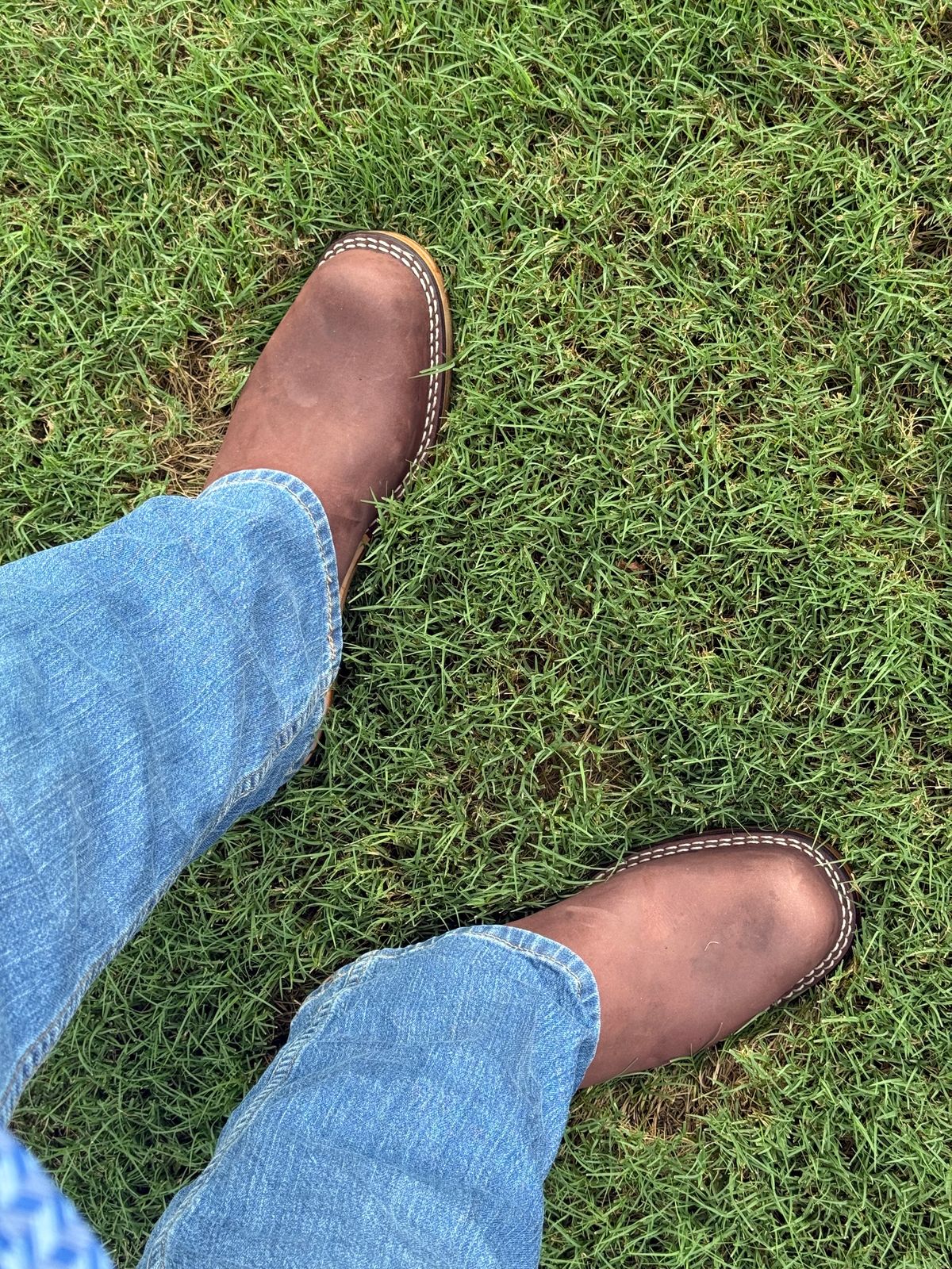 Photo by BigDawg308 on August 13, 2025 of the Nicks Palouse in Seidel 1964 Mahogany.