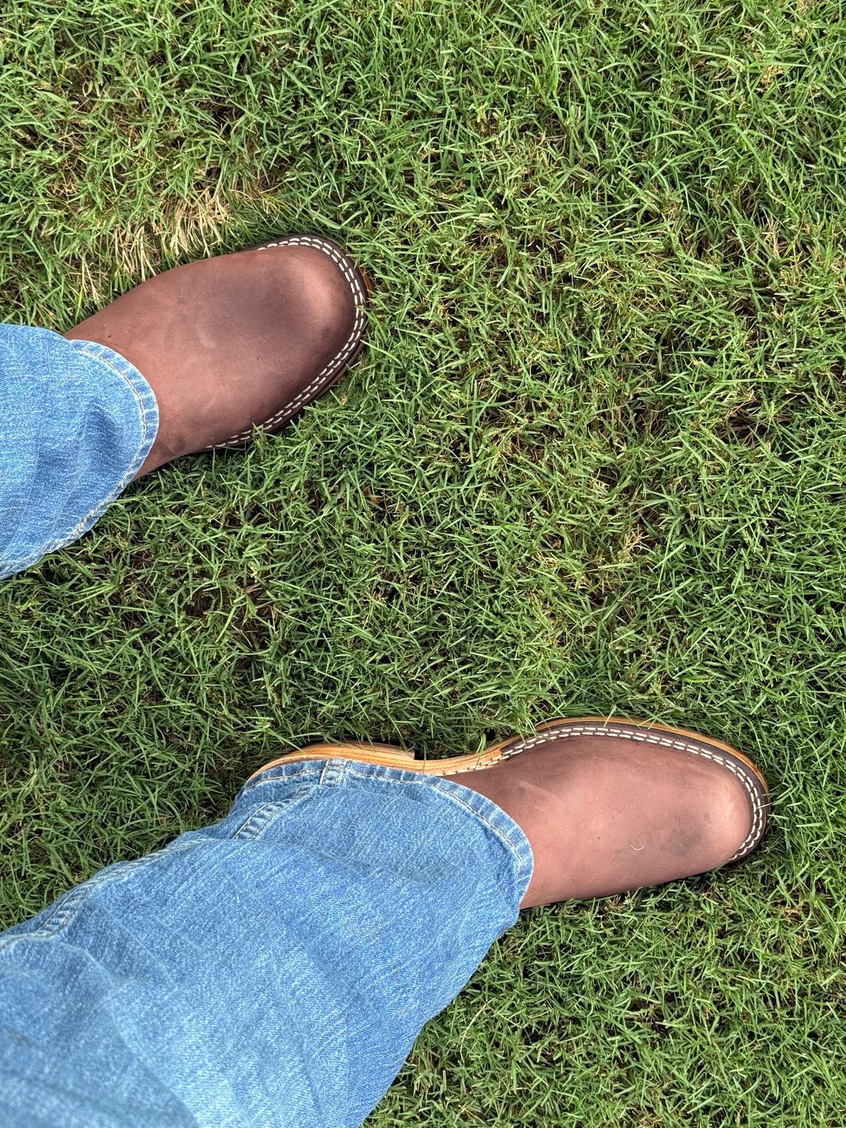 Photo by BigDawg308 on August 13, 2025 of the Nicks Palouse in Seidel 1964 Mahogany.