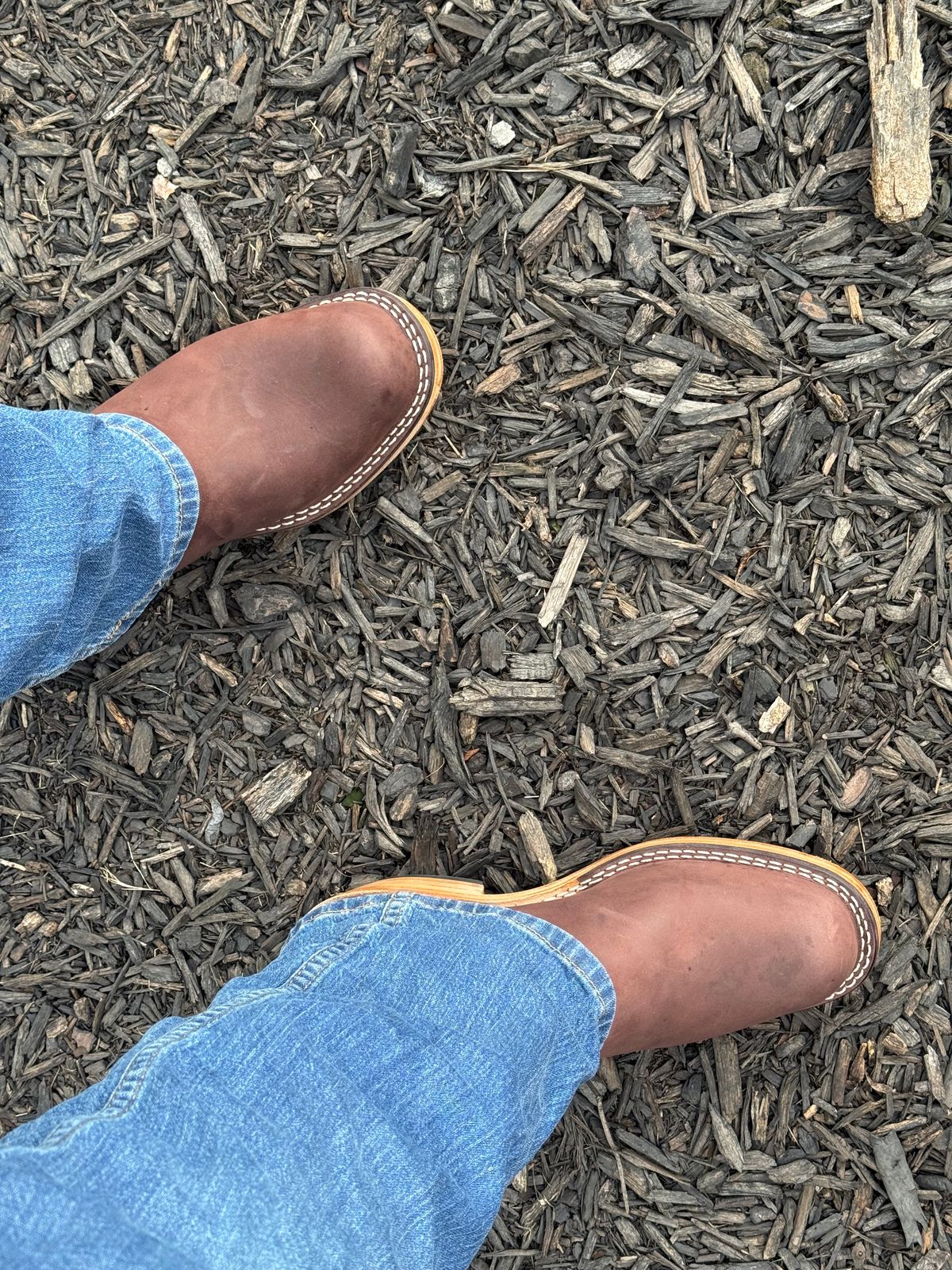 Photo by BigDawg308 on August 13, 2025 of the Nicks Palouse in Seidel 1964 Mahogany.
