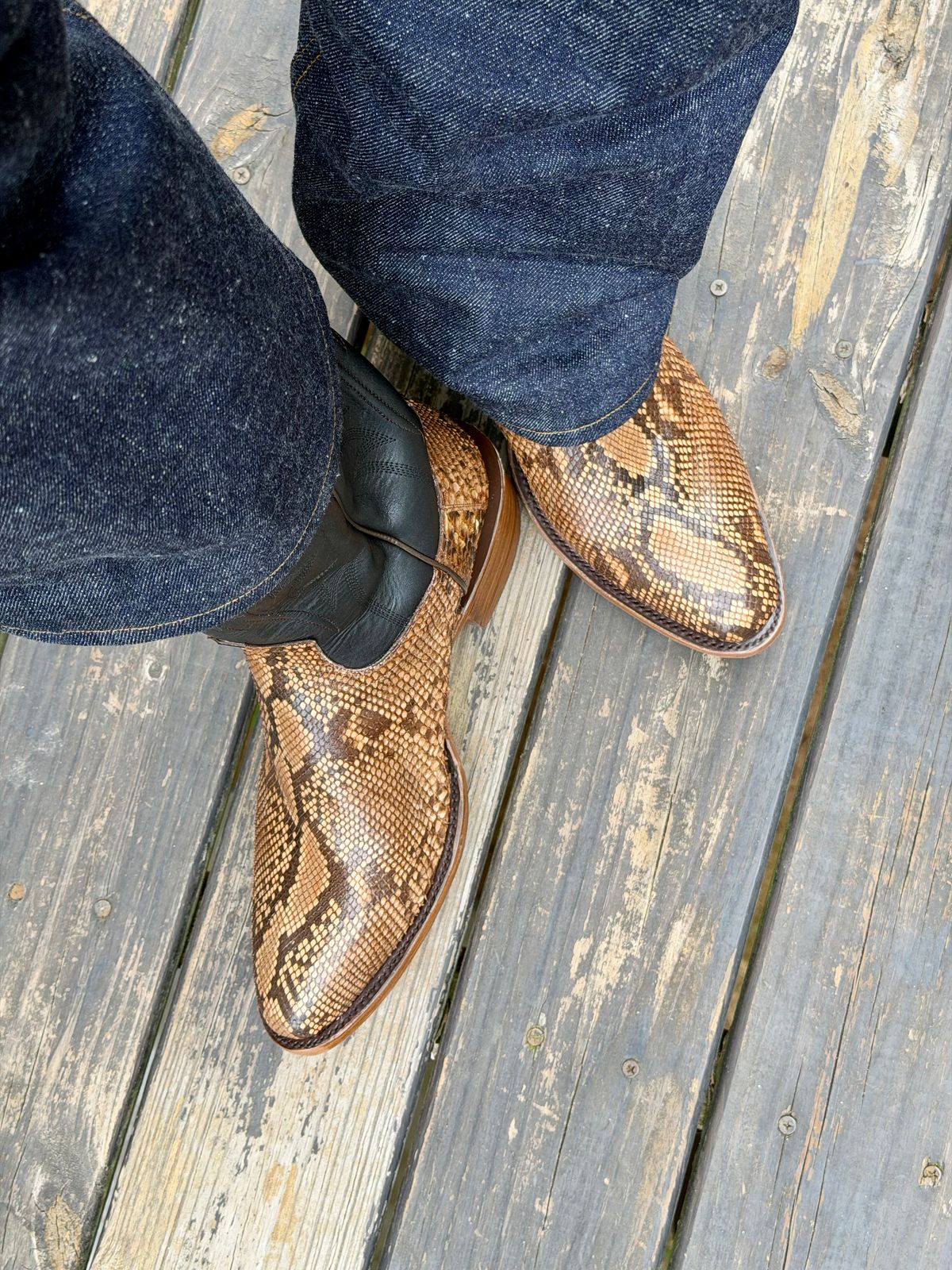 Photo by BigDawg308 on June 22, 2026 of the Stetson Round Toe in Python.