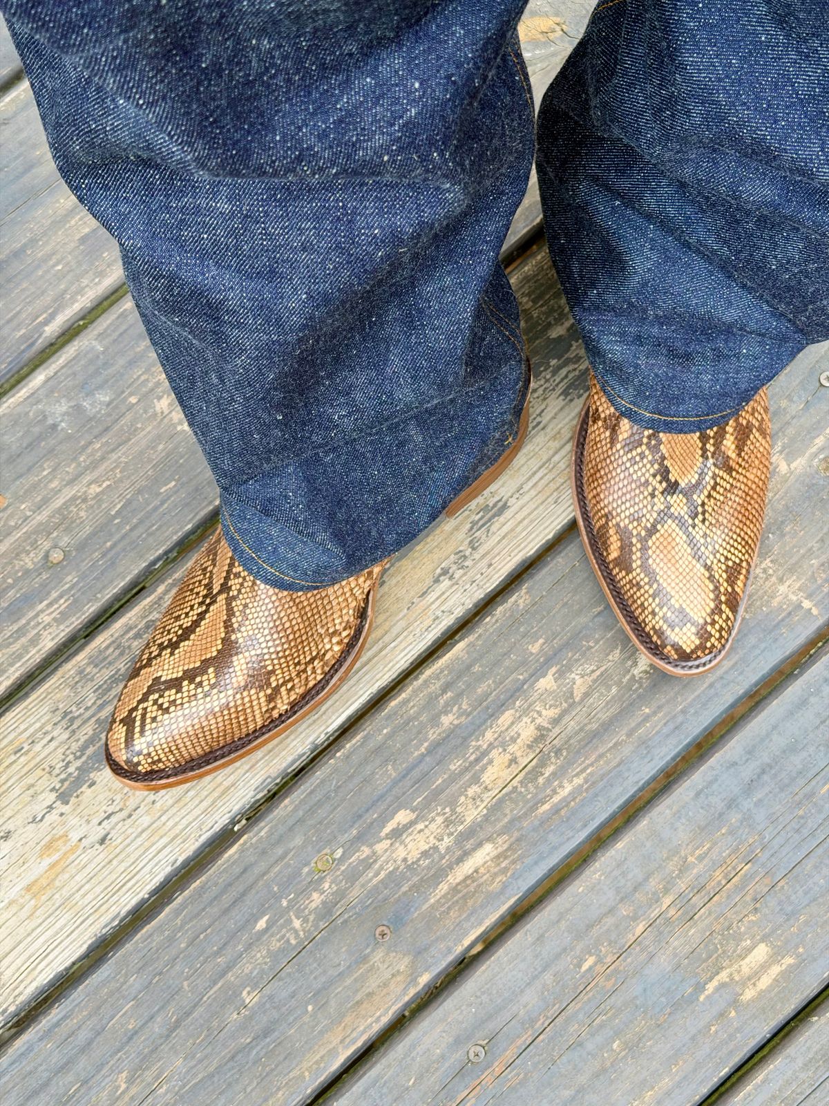 Photo by BigDawg308 on June 22, 2026 of the Stetson Round Toe in Python.