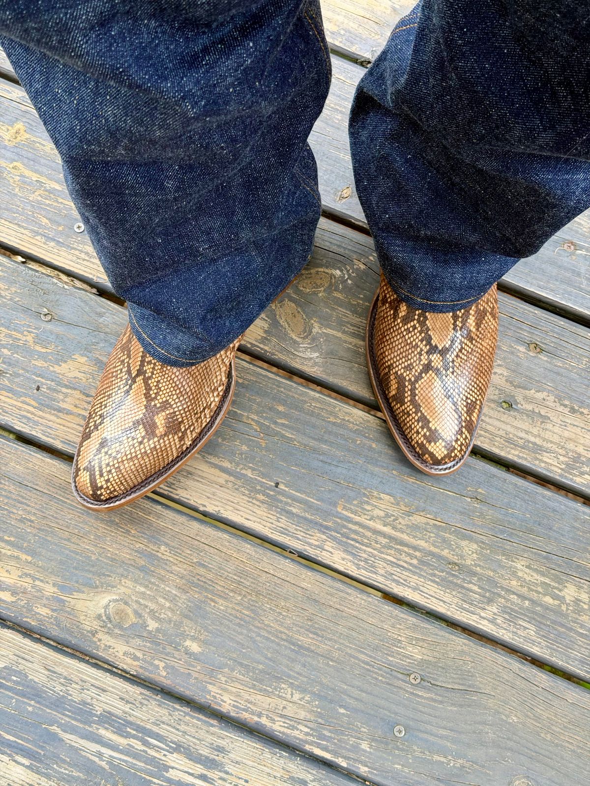 Photo by BigDawg308 on June 22, 2026 of the Stetson Round Toe in Python.