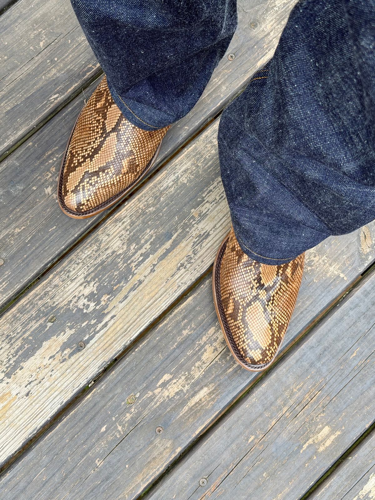 Photo by BigDawg308 on June 22, 2026 of the Stetson Round Toe in Python.