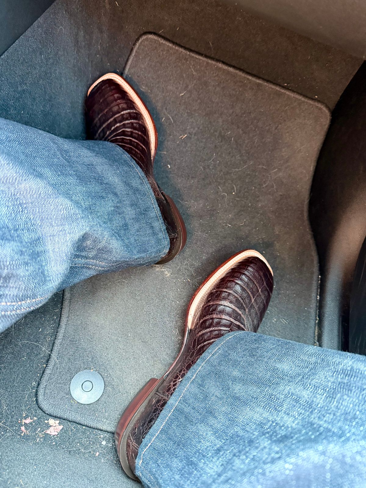 Photo by BigDawg308 on April 24, 2026 of the Lucchese Custom Model in Caiman Belly.