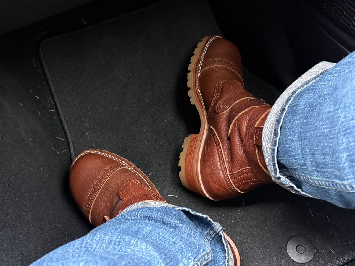 Photo by BigDawg308 on August 22, 2025 of the Nicks TankerPro in Law Tanning Peanut Big Horn Shrunken Bison.