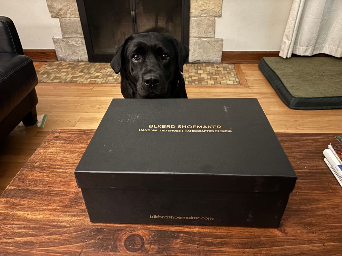 Photo by Kimiiceman on October 1, 2025 of the Blkbrd Shoemaker Rudiger Service Boot in Maryam Salvia Horsebutt.