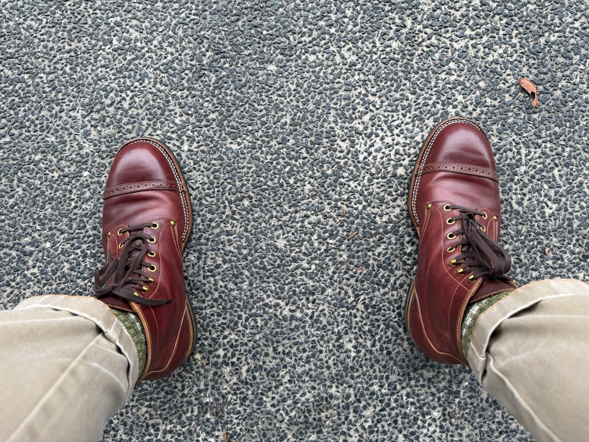 Photo by hype.inu on February 20, 2026 of the Iron Boots Devil Dog in Maryam Ruggine Shell Cordovan.