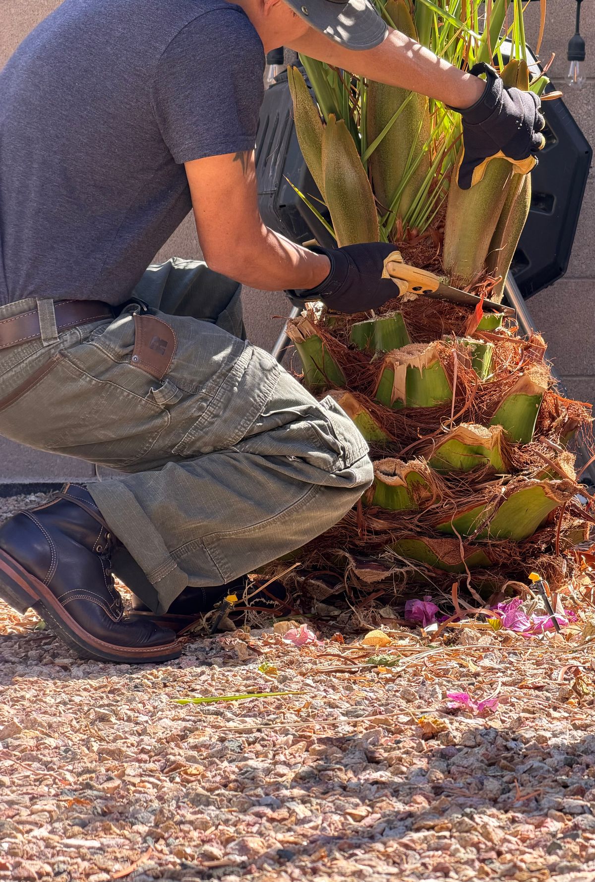 Photo by TheRuggedRounder on October 16, 2025 of the Truman Plain Toe Boot in Black Teacore.
