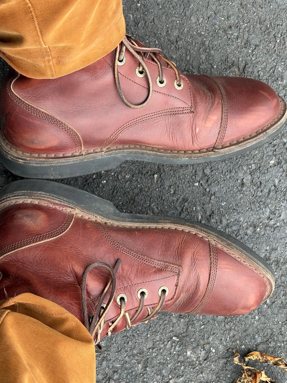 Photo by willwestphotos on November 5, 2025 of the Jim Green 719 Custom in Jim Green / Veg Tan Walnut.