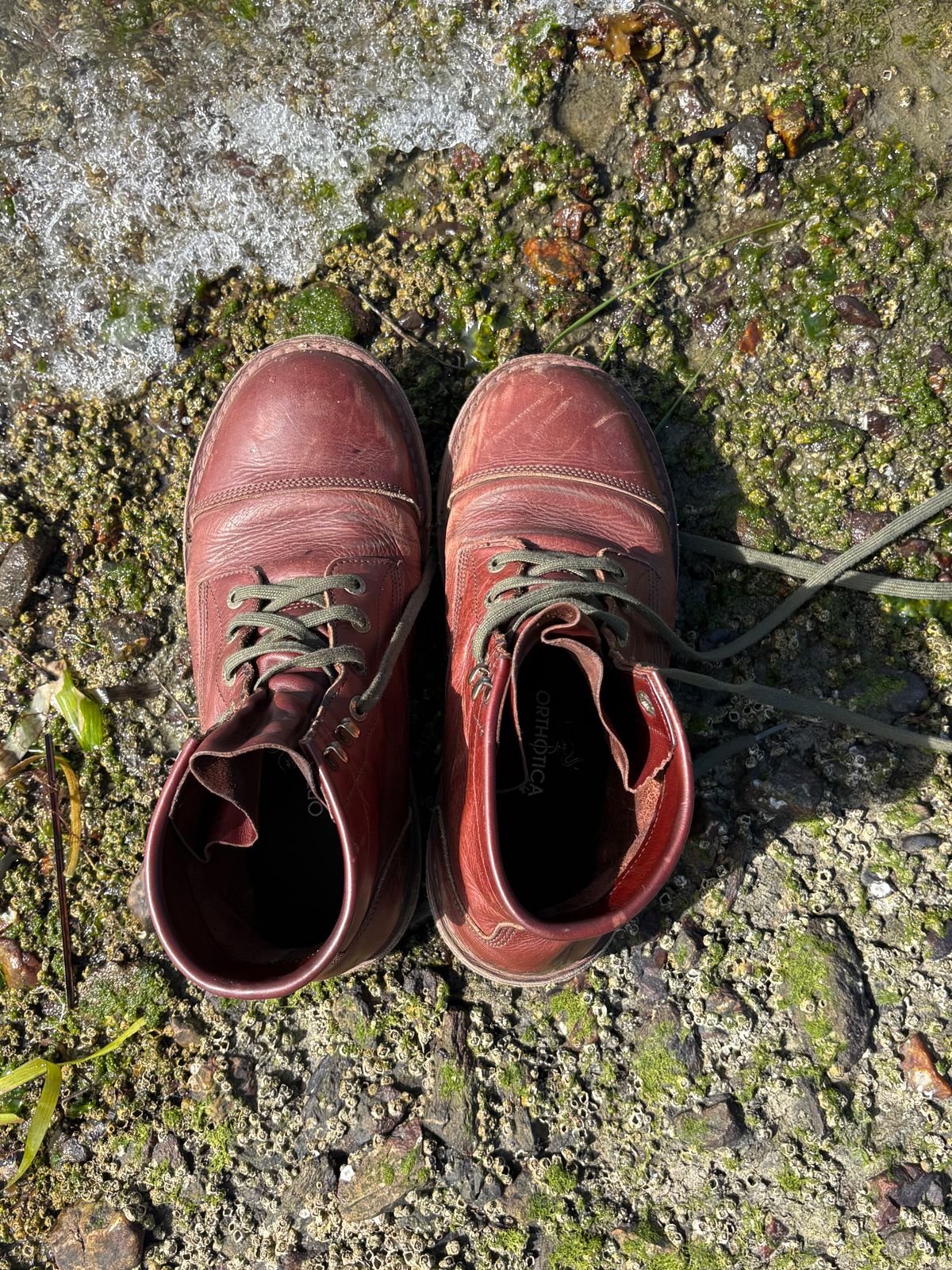 Photo by willwestphotos on April 5, 2026 of the Jim Green 719 Custom in Jim Green / Veg Tan Walnut.