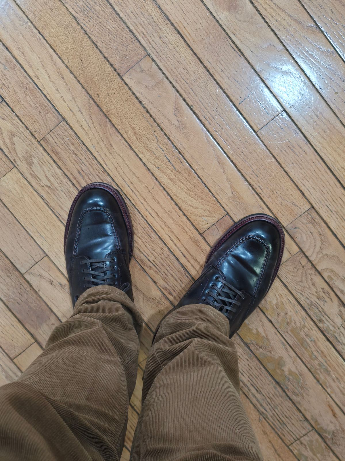Photo by johannarceo on February 9, 2025 of the Alden Indy Boot in Horween Color 8 Shell Cordovan.