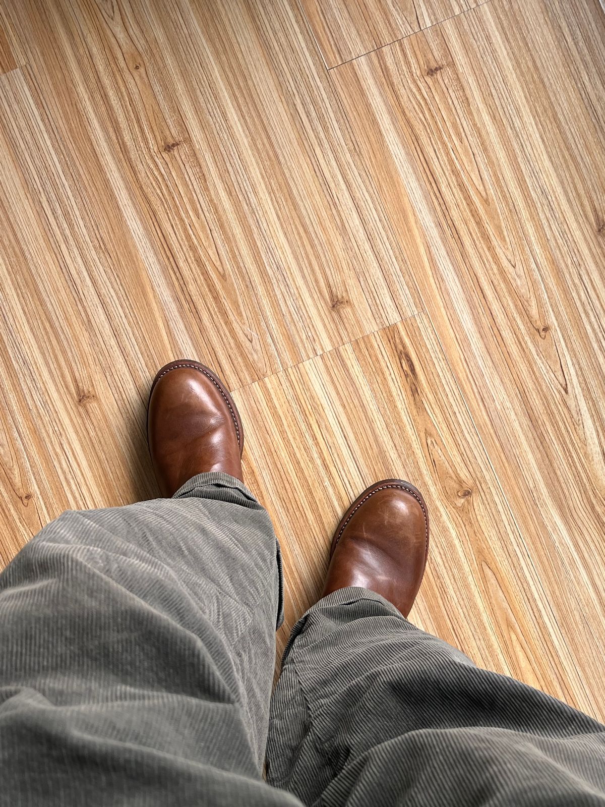 Photo by jen44 on July 5, 2025 of the Red Wing Engineer in S.B. Foot Amber Harness.