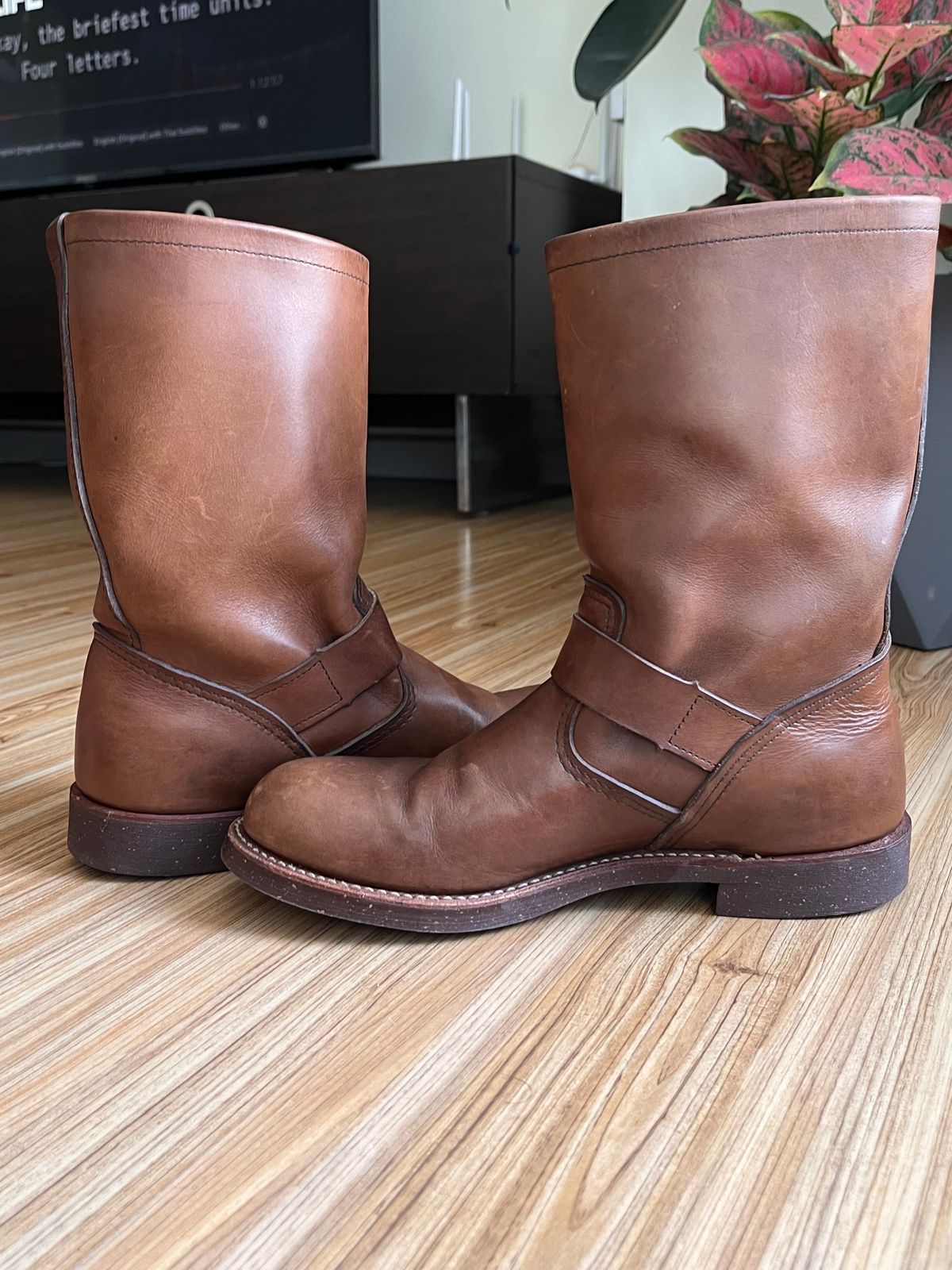 Photo by jen44 on August 9, 2025 of the Red Wing Engineer in S.B. Foot Amber Harness.