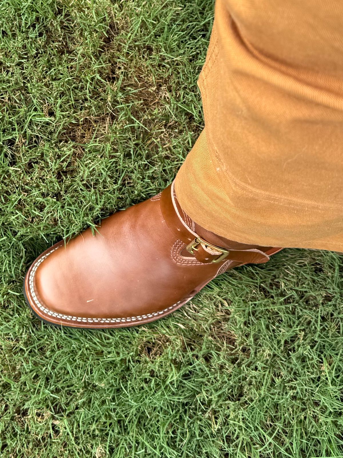 Photo by BigDawg308 on July 21, 2025 of the Wesco Mister Lou in Maryam Toscanello Horsebutt.