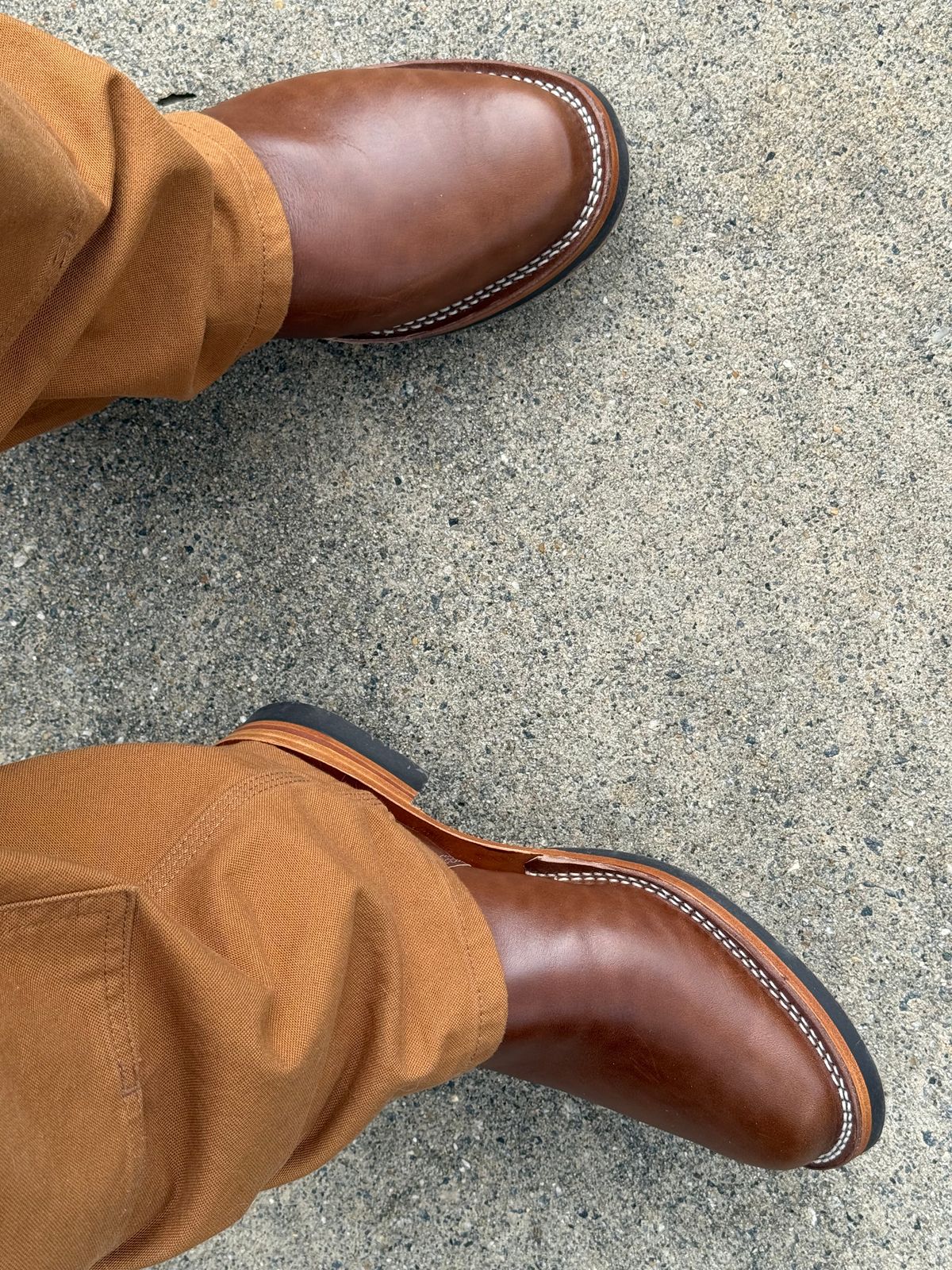 Photo by BigDawg308 on July 21, 2025 of the Wesco Mister Lou in Maryam Toscanello Horsebutt.