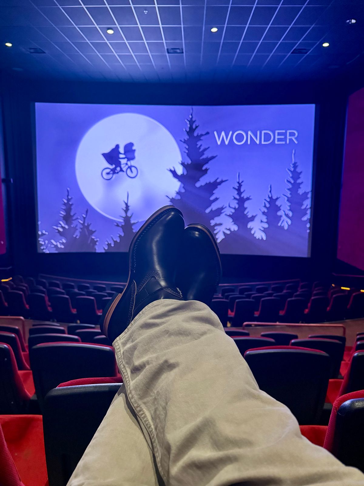 Photo by BigDawg308 on July 2, 2025 of the Wesco Mister Lou in Horween Black Chromexcel Horsehide.