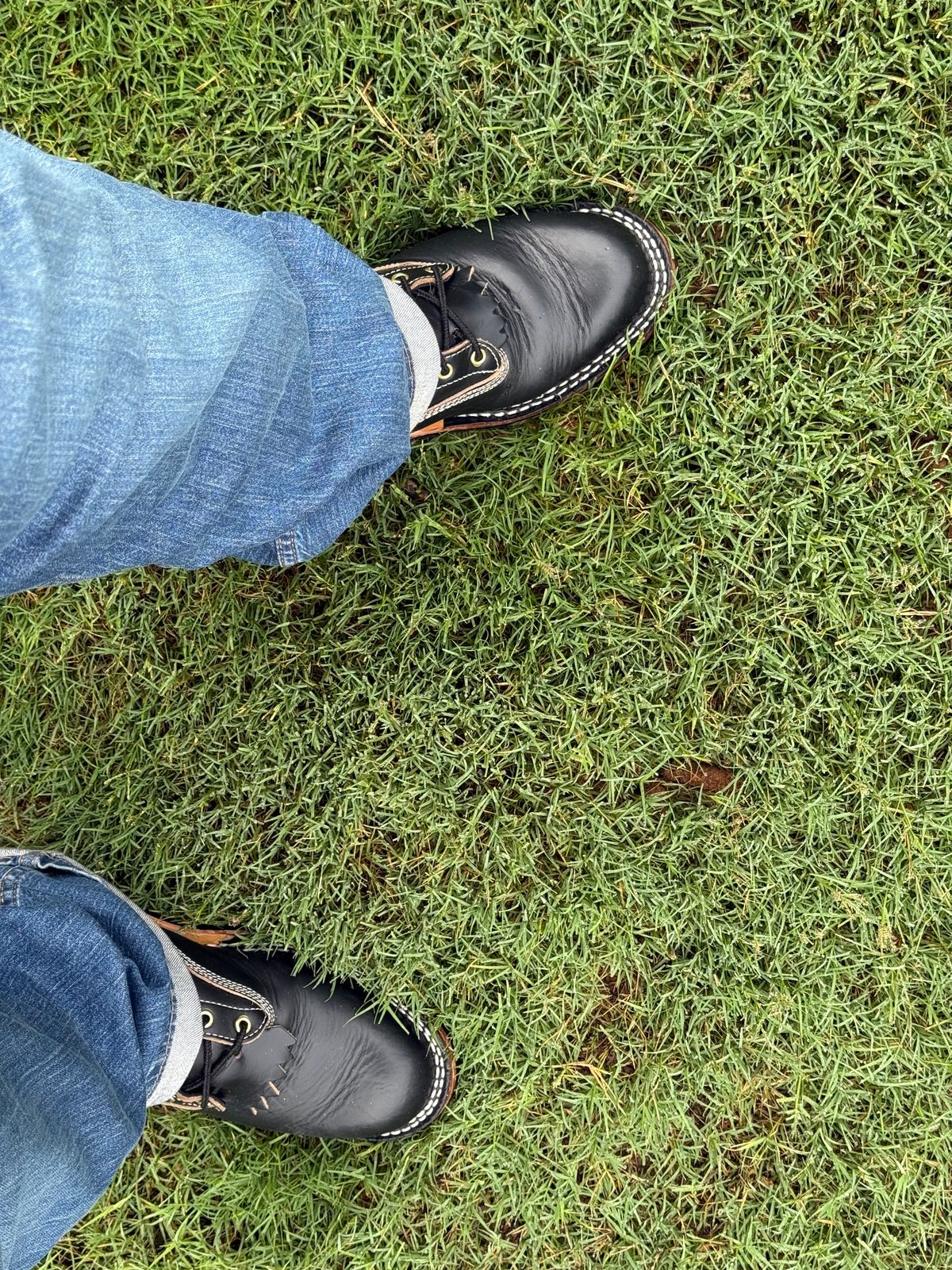 Photo by BigDawg308 on June 10, 2025 of the Frank's Boots Wilson in Horween Black Chromexcel.