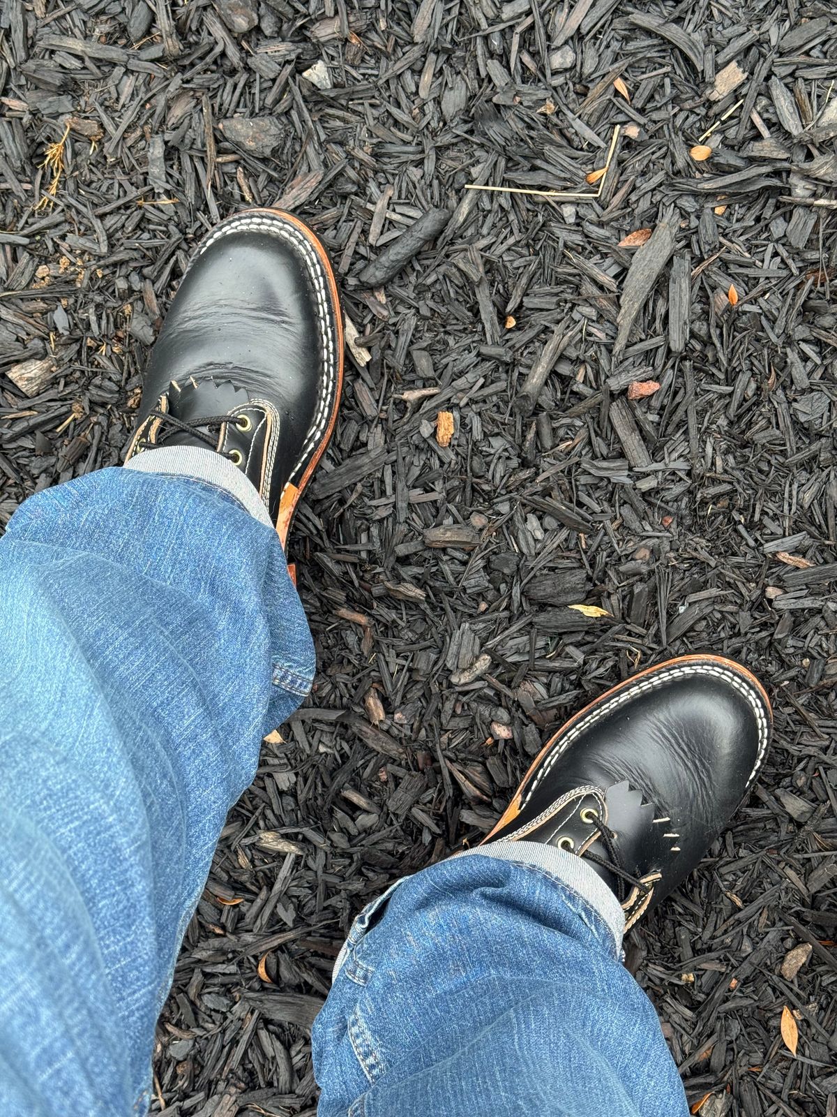 Photo by BigDawg308 on June 10, 2025 of the Frank's Boots Wilson in Horween Black Chromexcel.