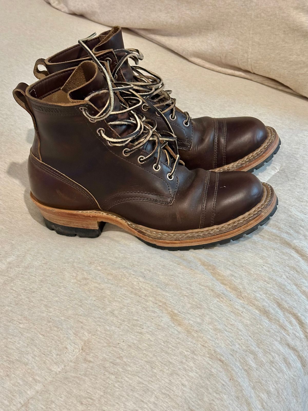 Photo by PMap on June 18, 2026 of the White's 350 Logger in Horween Brown Chromexcel.