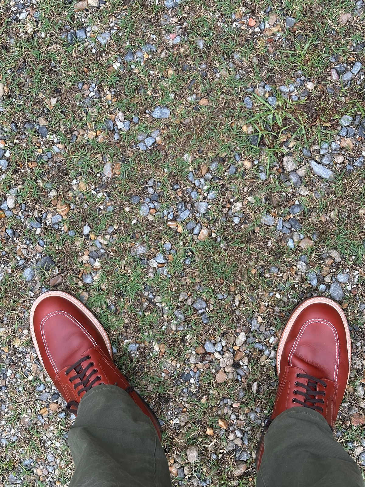 Photo by PMap on June 6, 2026 of the Alden Indy Boot in Brown Calfskin.