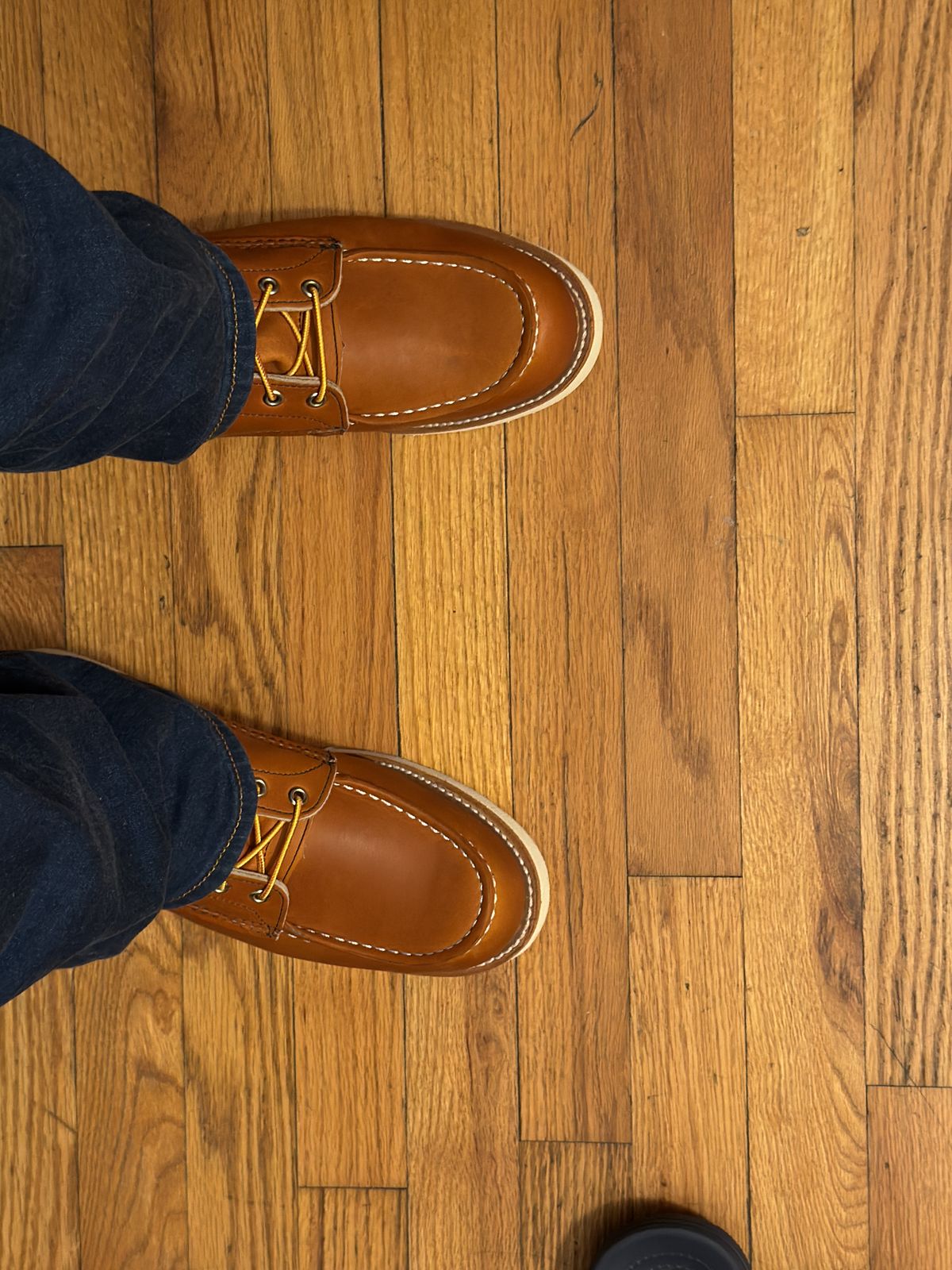 Photo by Kismetatron on October 24, 2025 of the Red Wing 877 in S.B. Foot Oro Legacy.