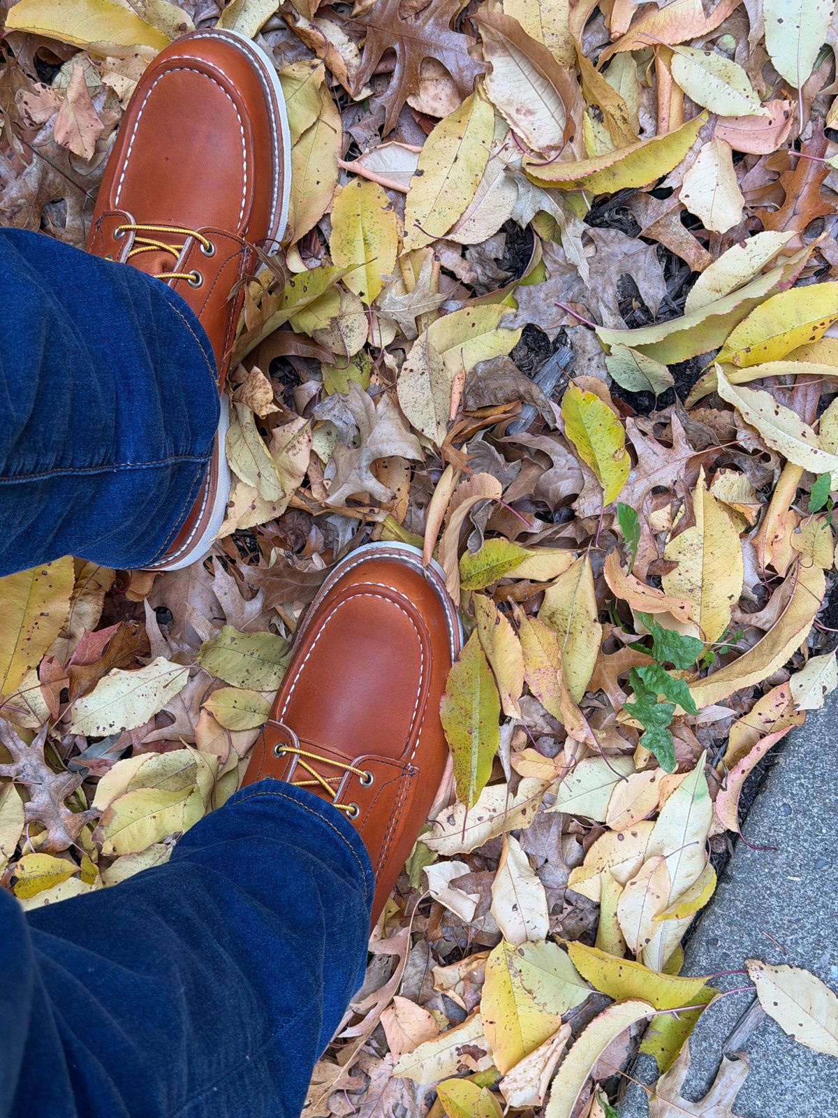 Photo by Kismetatron on October 24, 2025 of the Red Wing 877 in S.B. Foot Oro Legacy.