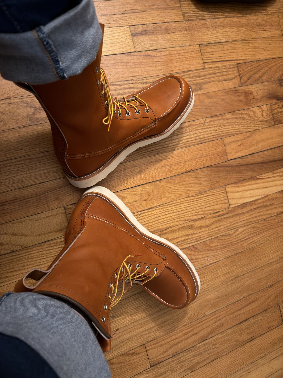 Photo by Kismetatron on October 24, 2025 of the Red Wing 877 in S.B. Foot Oro Legacy.