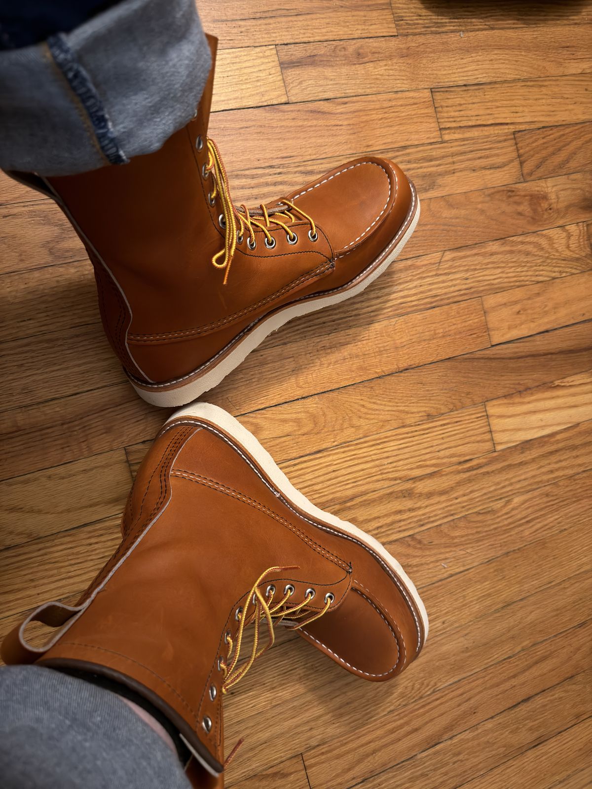 Photo by Kismetatron on October 24, 2025 of the Red Wing 877 in S.B. Foot Oro Legacy.