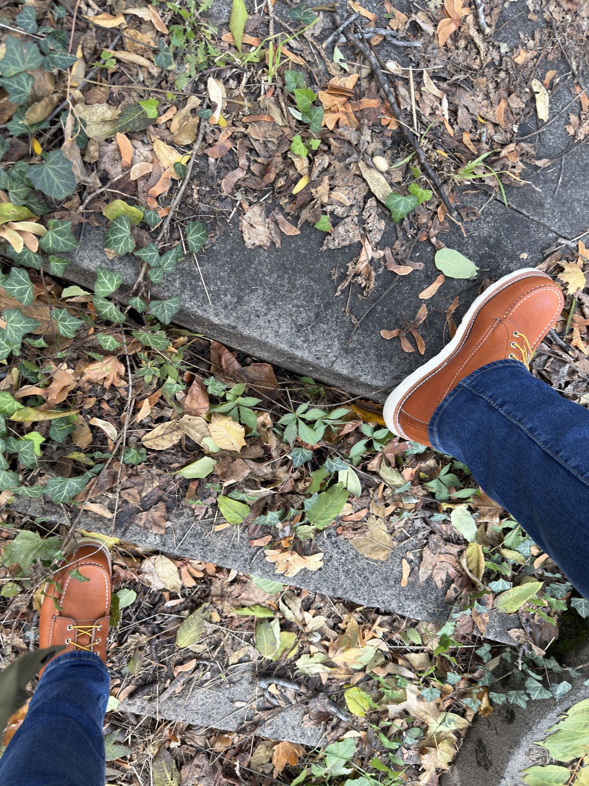 Photo by Kismetatron on October 31, 2025 of the Red Wing 877 in S.B. Foot Oro Legacy.