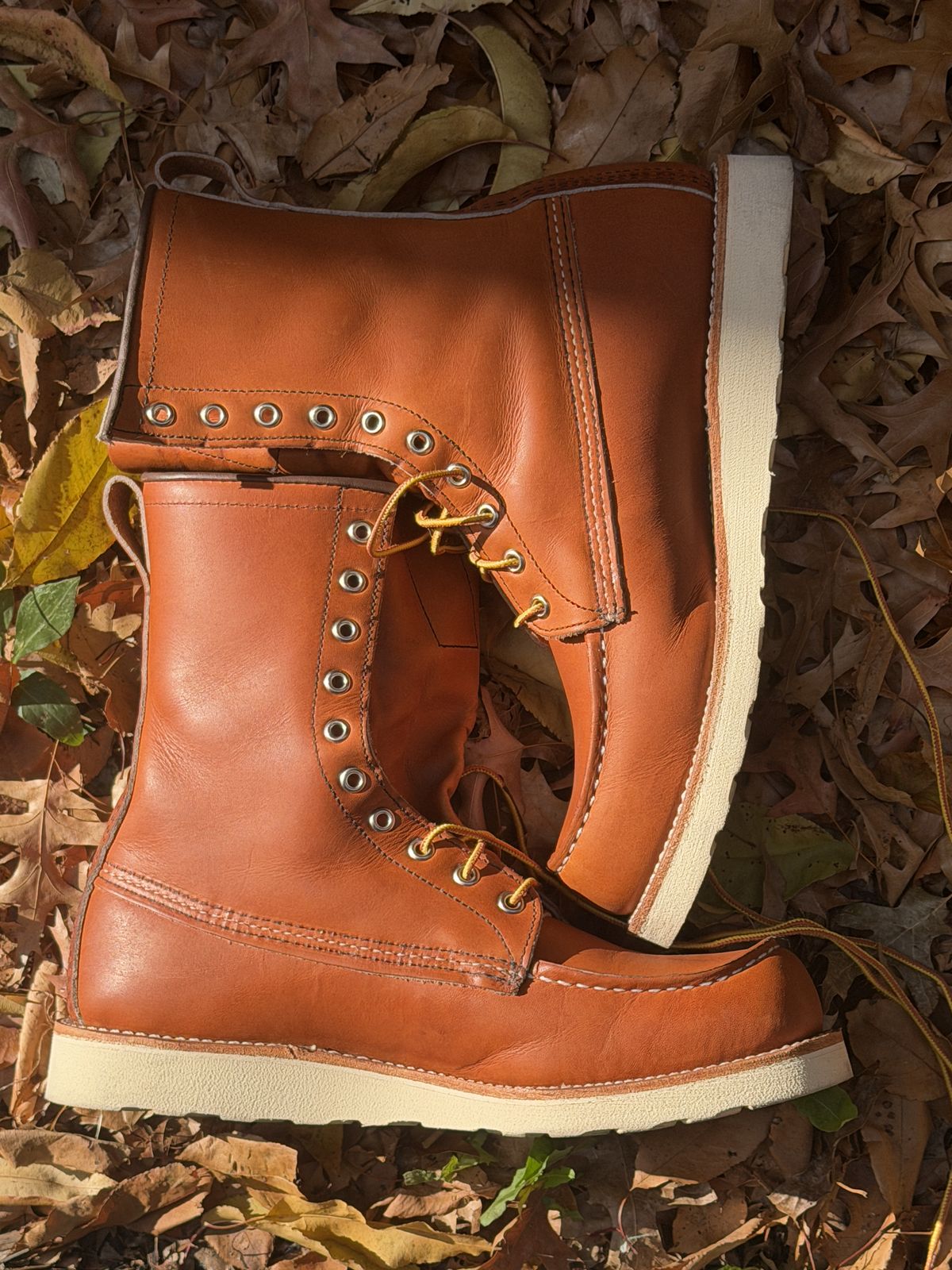 Photo by Kismetatron on November 3, 2025 of the Red Wing 877 in S.B. Foot Oro Legacy.