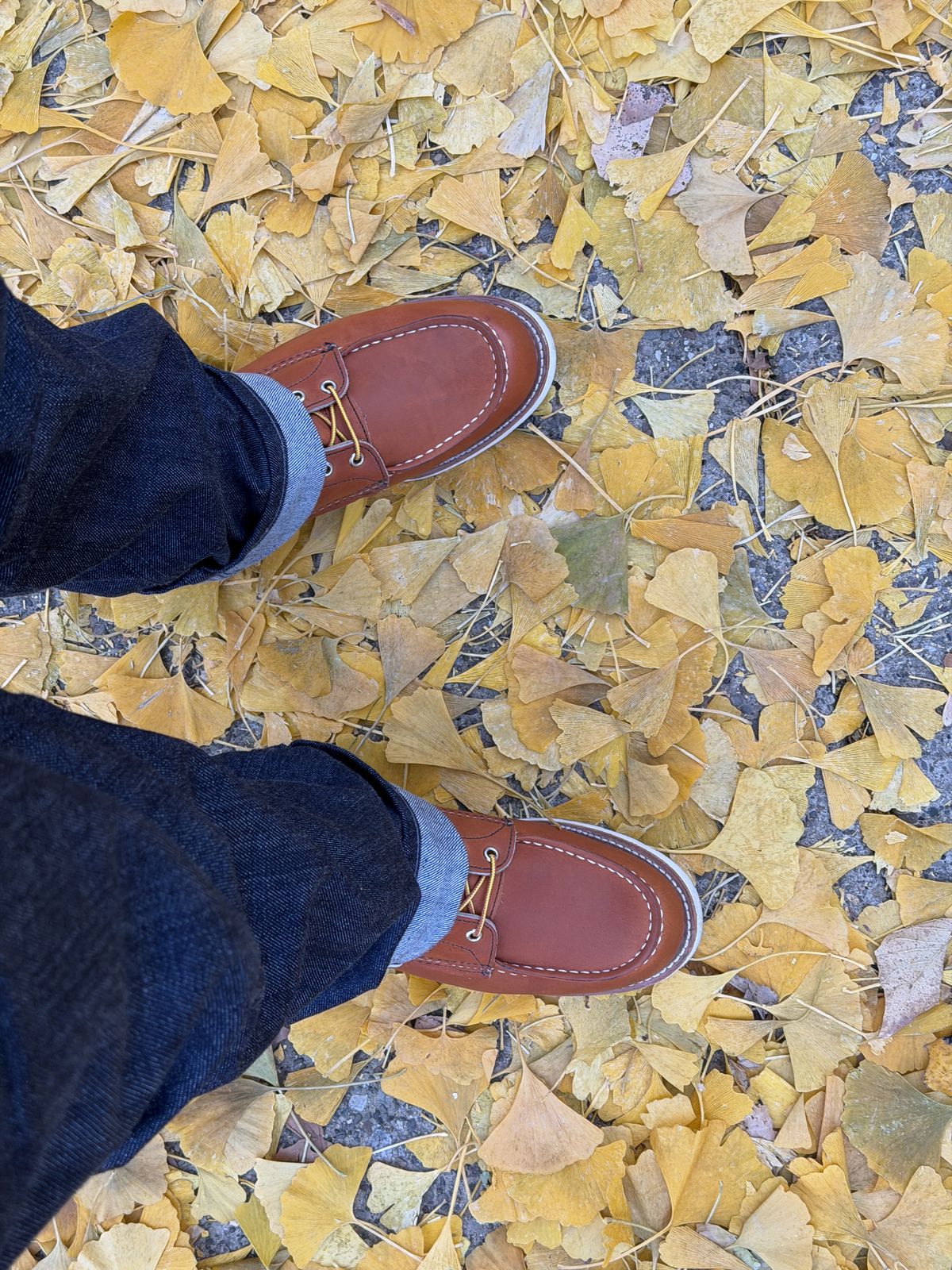 Photo by Kismetatron on November 14, 2025 of the Red Wing 877 in S.B. Foot Oro Legacy.