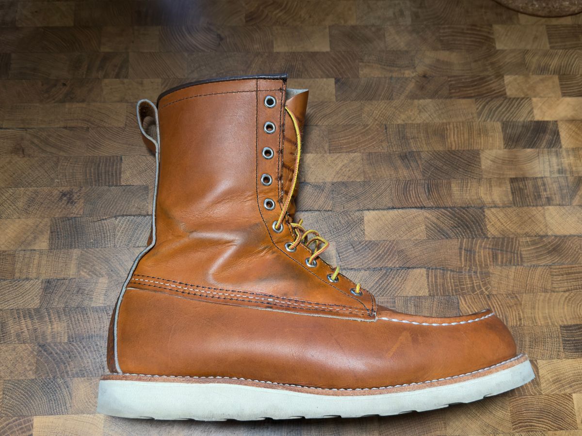 Photo by Kismetatron on February 25, 2026 of the Red Wing 877 in S.B. Foot Oro Legacy.