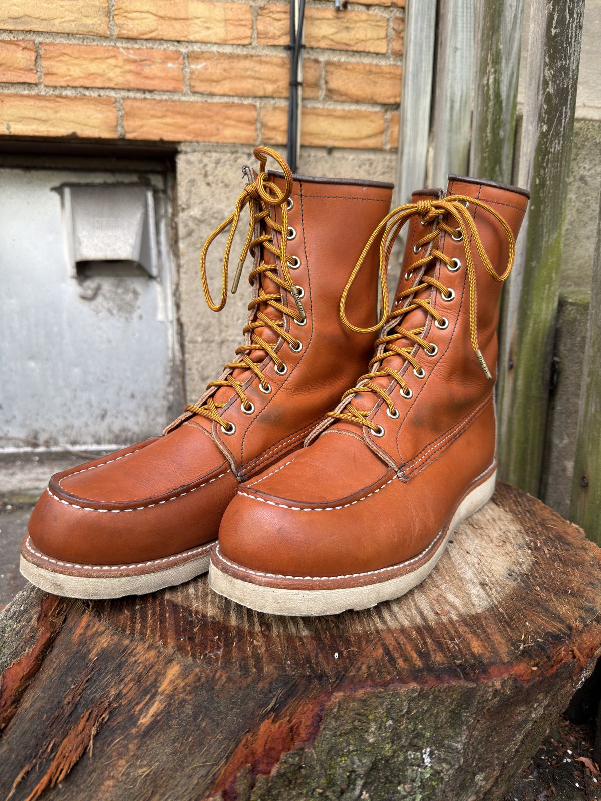 Photo by Kismetatron on May 2, 2026 of the Red Wing 877 in S.B. Foot Oro Legacy.