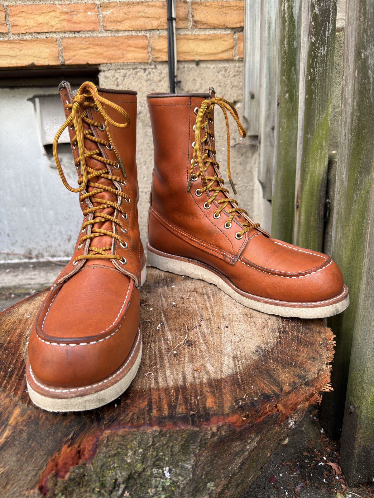 Photo by Kismetatron on May 2, 2026 of the Red Wing 877 in S.B. Foot Oro Legacy.