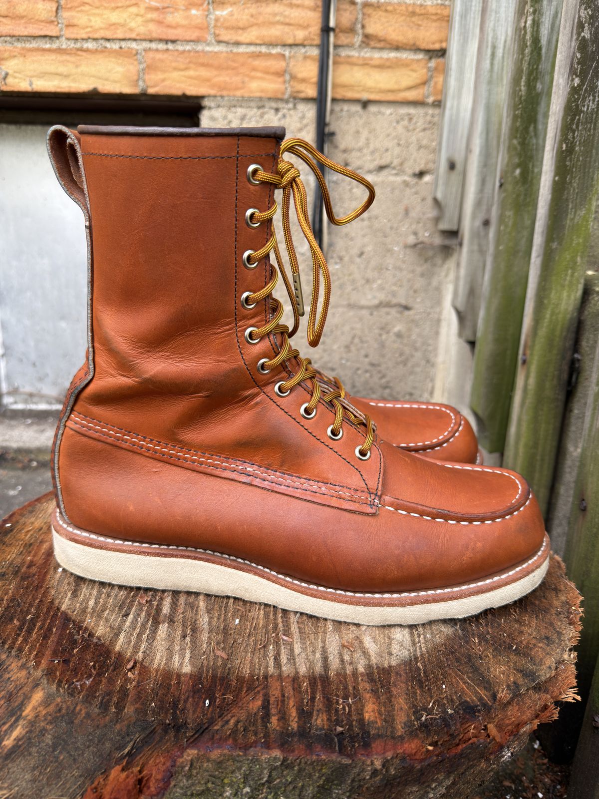 Photo by Kismetatron on May 2, 2026 of the Red Wing 877 in S.B. Foot Oro Legacy.