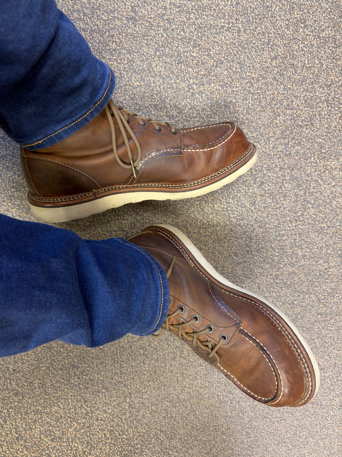Photo by Kismetatron on October 10, 2025 of the Red Wing 6-Inch Classic Moc in S.B. Foot Copper Rough and Tough.