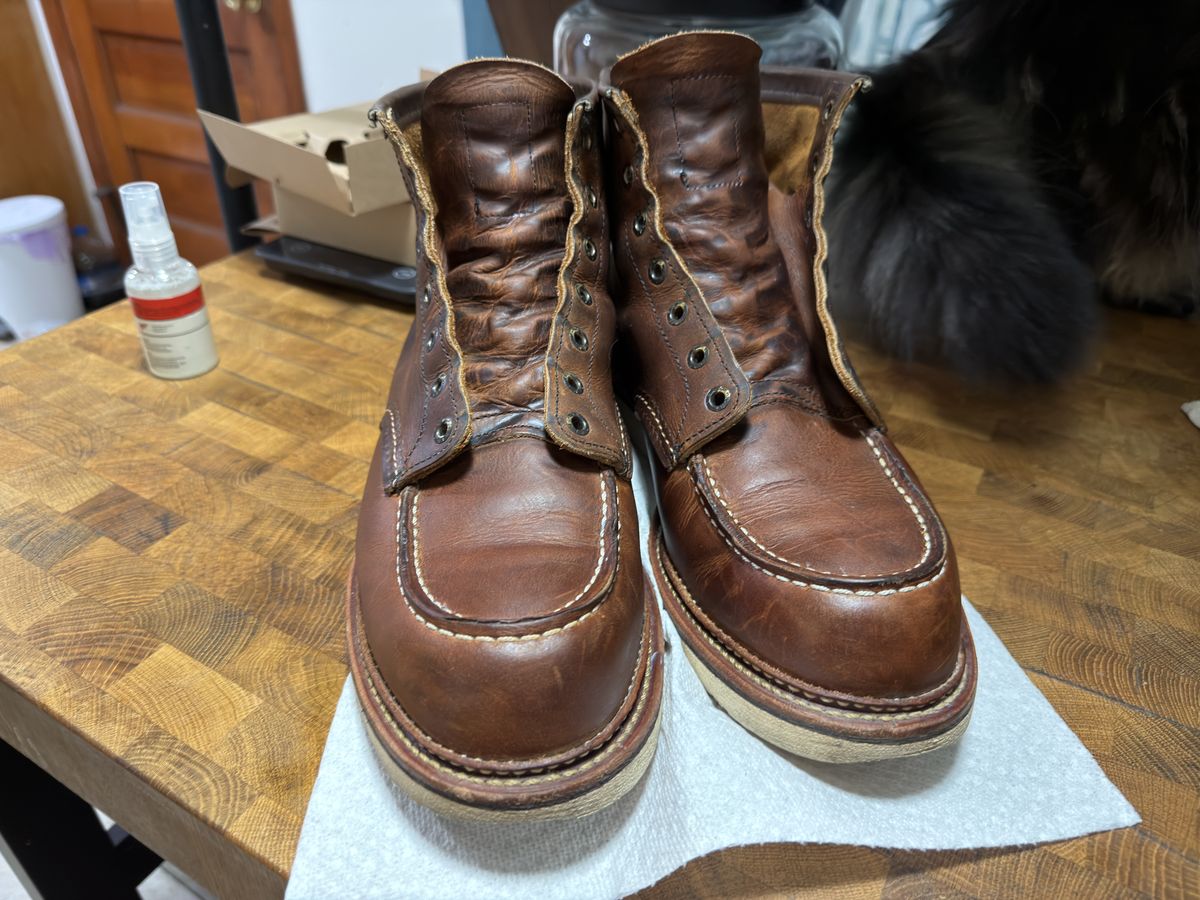 Photo by Kismetatron on October 28, 2025 of the Red Wing 6-Inch Classic Moc in S.B. Foot Copper Rough and Tough.