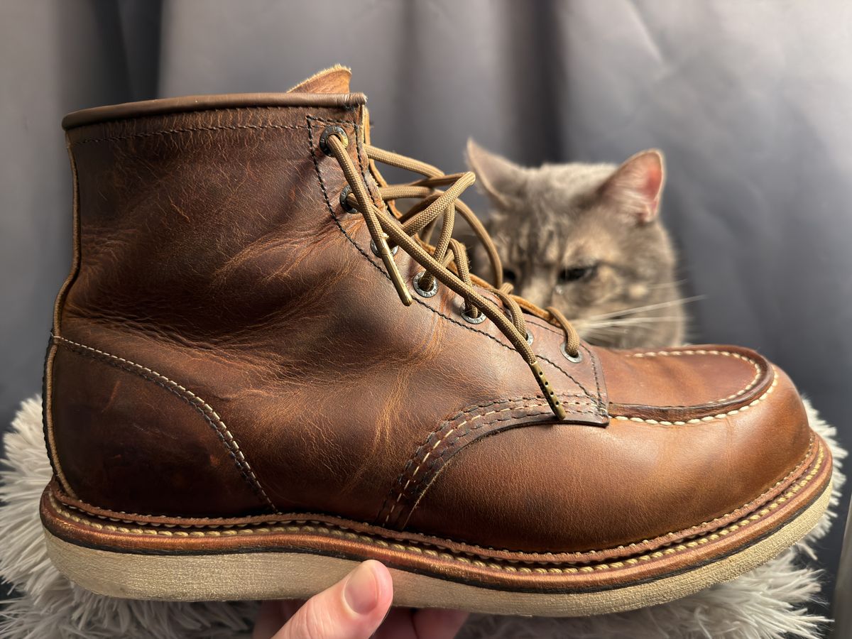 Photo by Kismetatron on November 2, 2025 of the Red Wing 6-Inch Classic Moc in S.B. Foot Copper Rough and Tough.