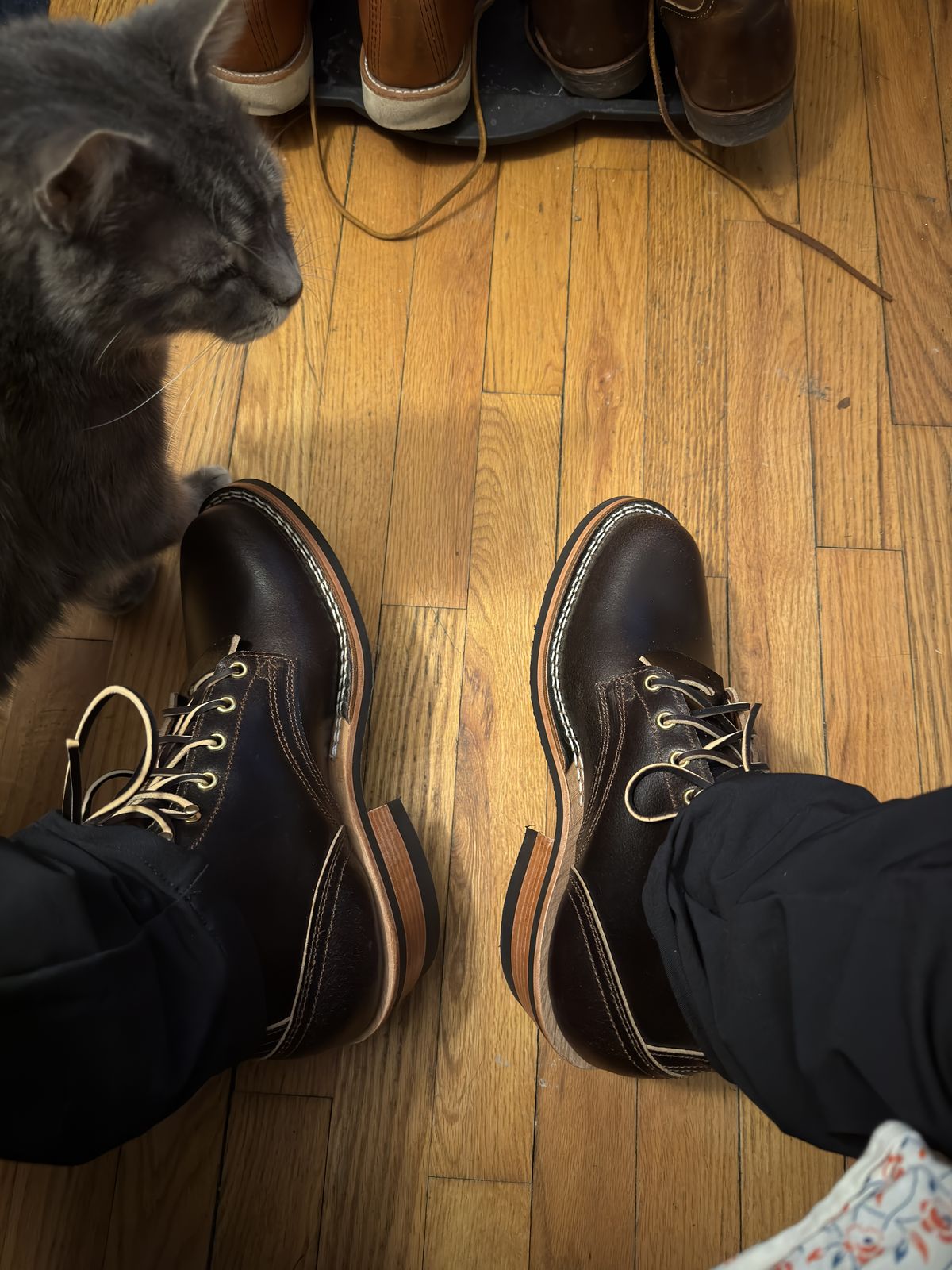 Photo by Kismetatron on January 20, 2026 of the Nicks Robert in Horween Brown Waxed Flesh.