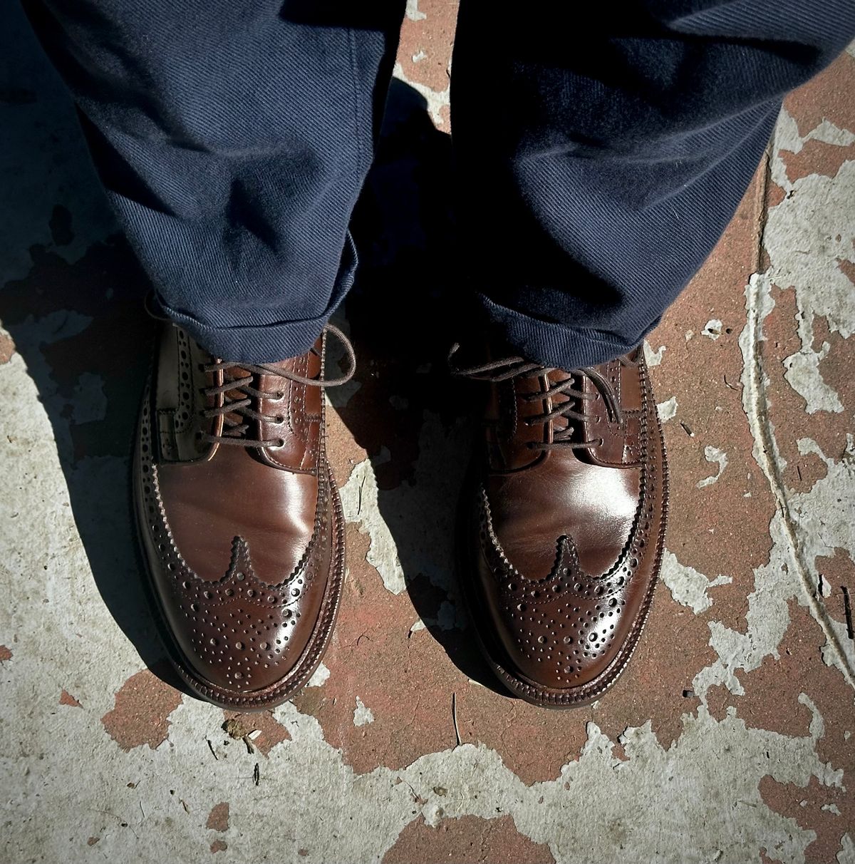 Photo by icarus on January 21, 2025 of the Grant Stone Longwing in Horween Crimson Chromexcel.