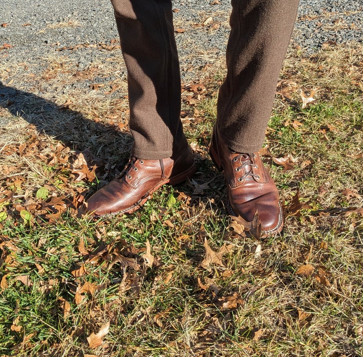 Photo by stridersubs on November 24, 2025 of the Nicks x Parkhurst in Italian Brown Cypress.