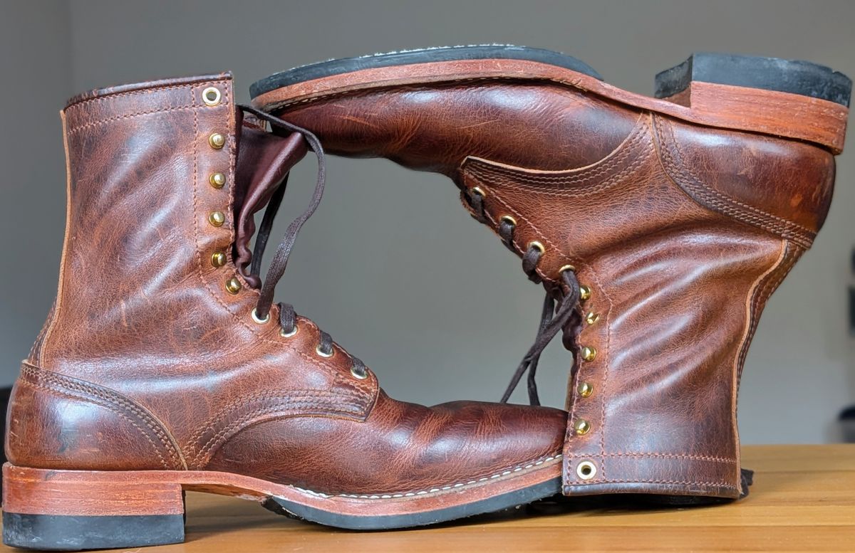 Photo by stridersubs on December 3, 2025 of the Nicks x Parkhurst in Italian Brown Cypress.