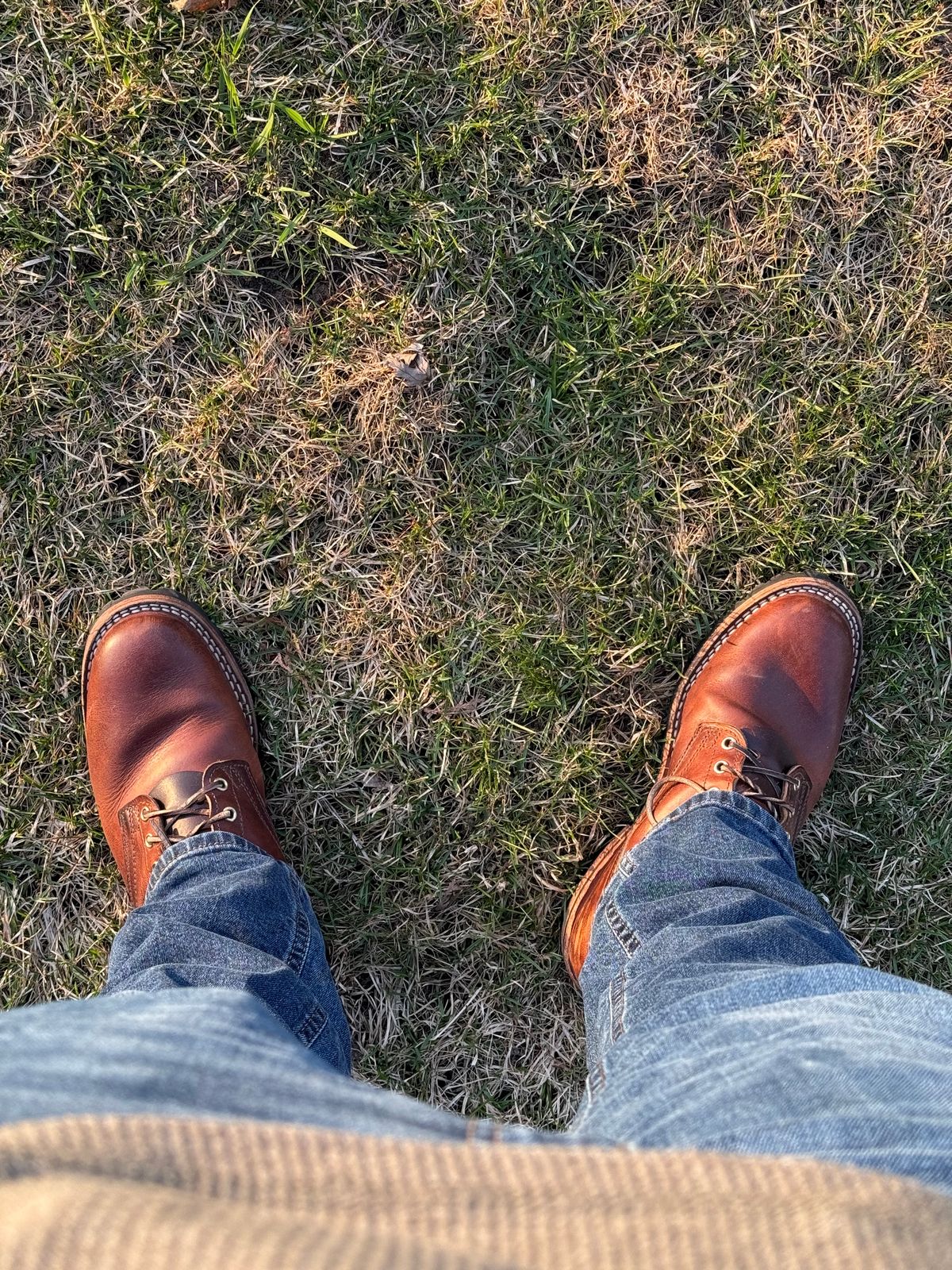 Photo by SteveHarveyOswald on April 16, 2026 of the Nicks Lace Up Heritage in Italian Brown Cypress.