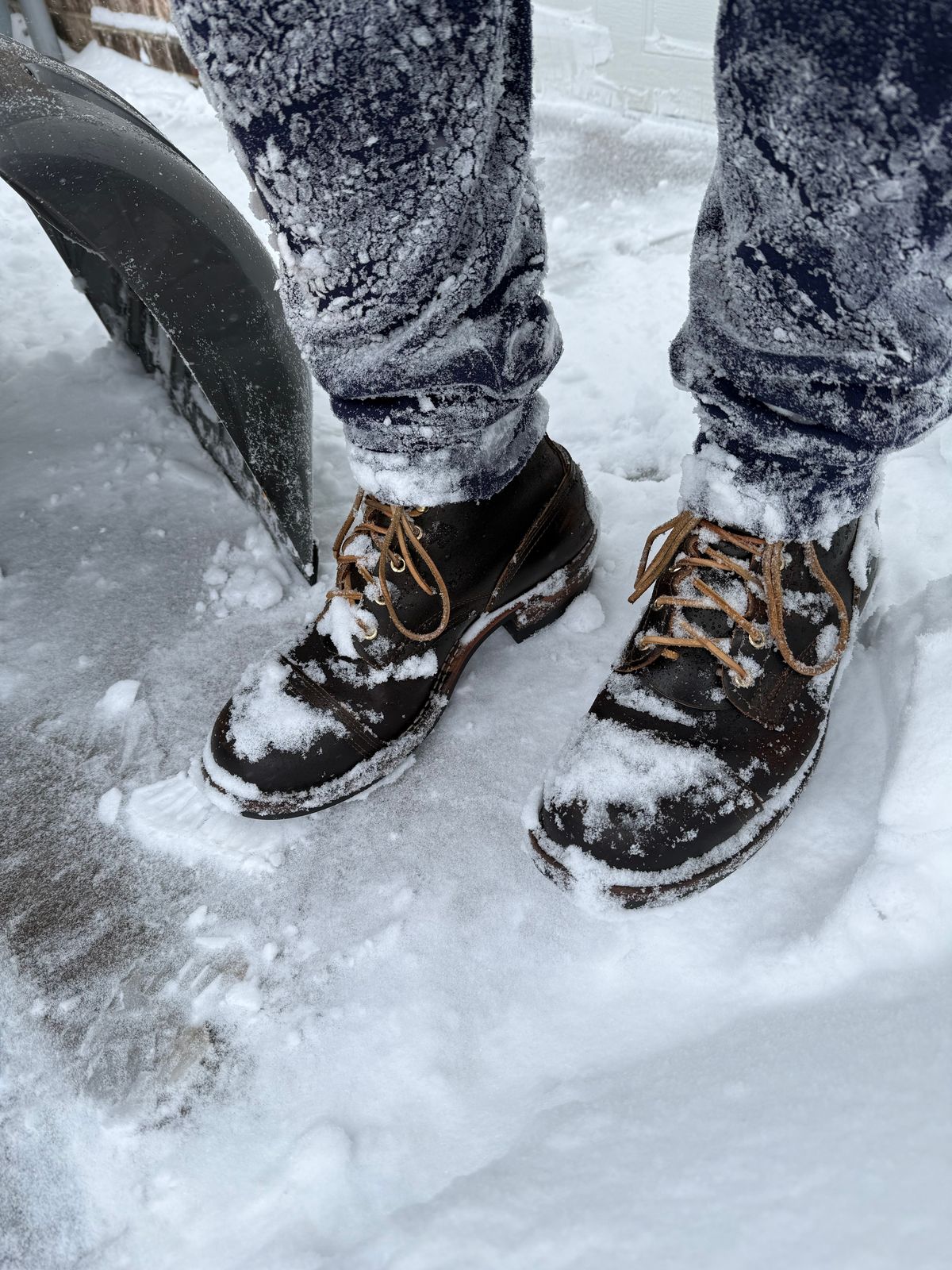 Photo by SteveHarveyOswald on March 15, 2026 of the Nicks MTO in Horween Brown Waxed Flesh.