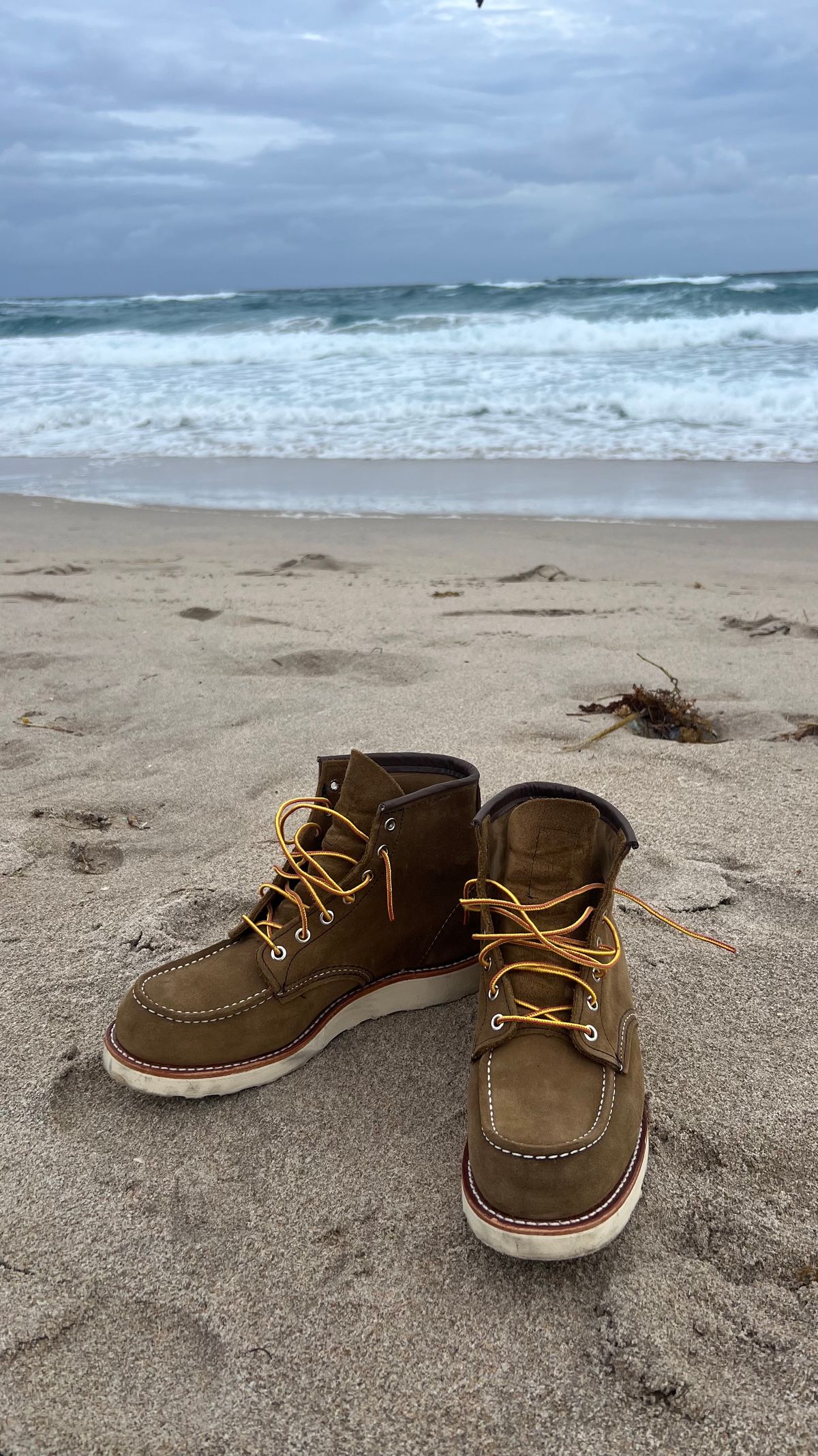 Photo by al_margolin on December 28, 2024 of the Red Wing 6-Inch Classic Moc in S.B. Foot Olive Mohave.