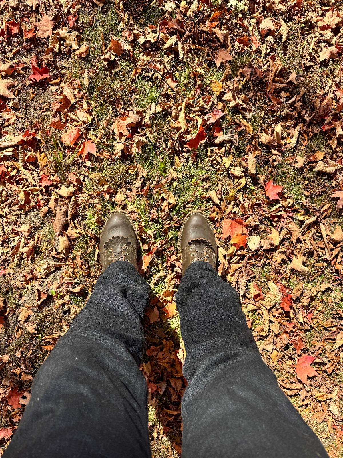Photo by brvcha on October 19, 2024 of the Nicks Packer in Shackelton Greener Pastures.